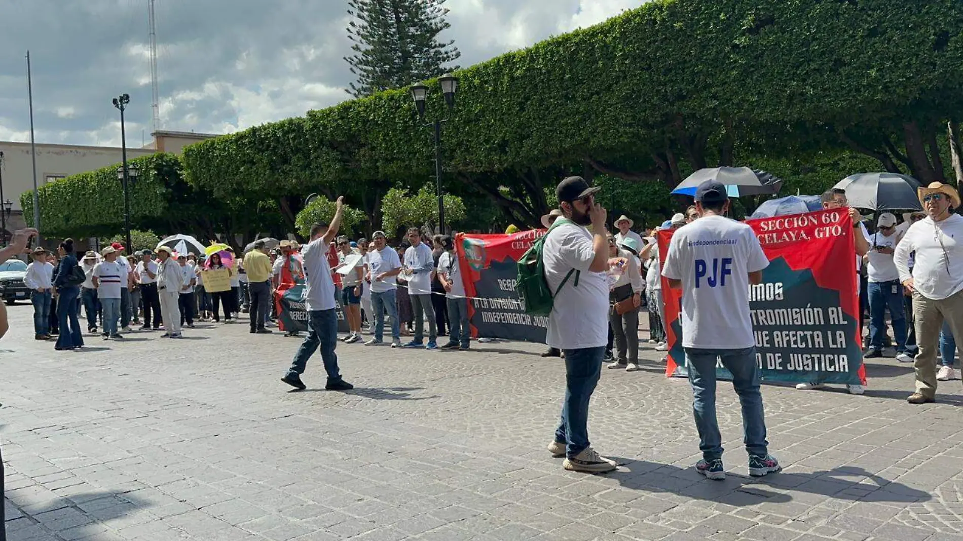 Manifestación (9)